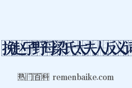 挽赵子野母梁氏太夫人反义词是什么意思的图片
